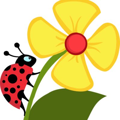 Ladybug on flower Thumbnail