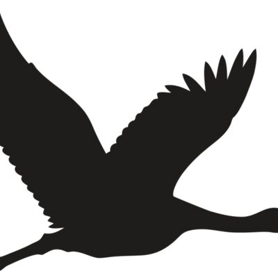 Flying Crane Thumbnail