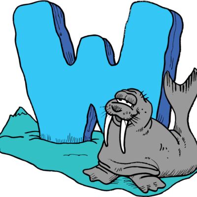 W is for Walrus Thumbnail