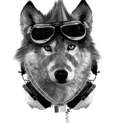 new wolf with white back Thumbnail