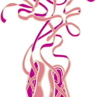 Ballet slippers Thumbnail