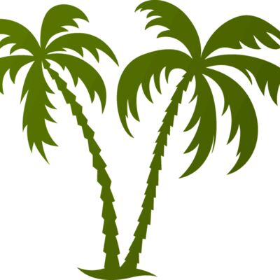 Palm tree 2 Thumbnail