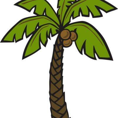 Palm Coconut Tree Thumbnail