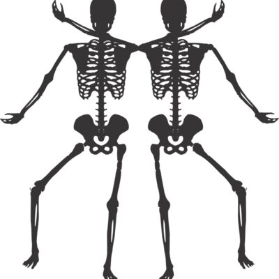Skeleton buddies Thumbnail