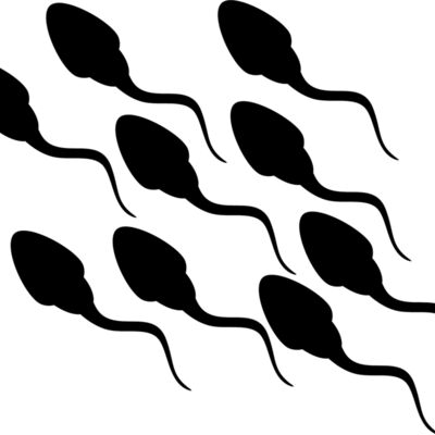 Sperm Thumbnail