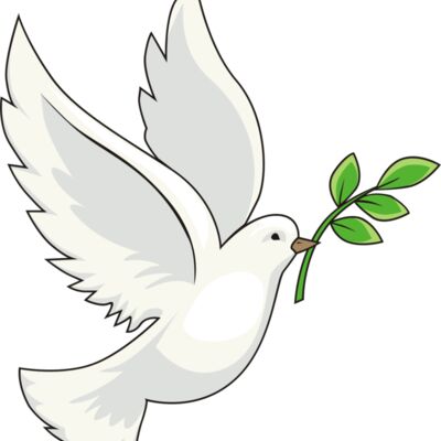 Peace dove olive branch Thumbnail