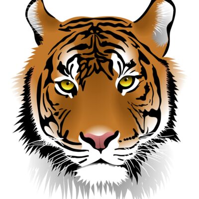 Tiger Thumbnail