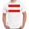 Gildan Adult Cotton Tee  Thumbnail
